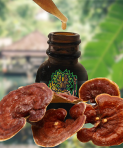 Reishi-Ling Zhi